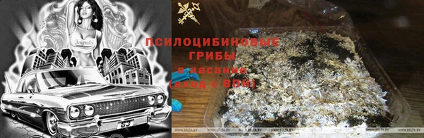 марки nbome Алзамай