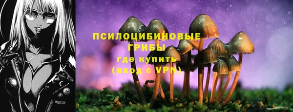 амф Надым