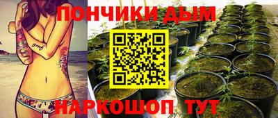гашишное масло Камышлов