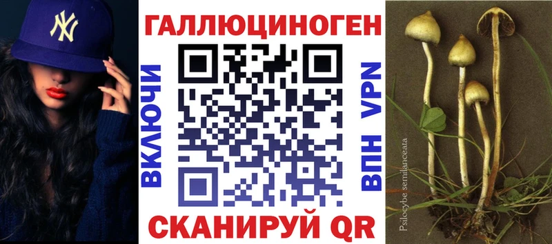Галлюциногенные грибы GOLDEN TEACHER  магазин    Лосино-Петровский 