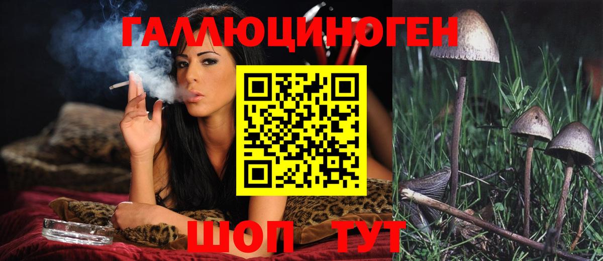 Галлюциногенные грибы мухоморы Лосино-Петровский